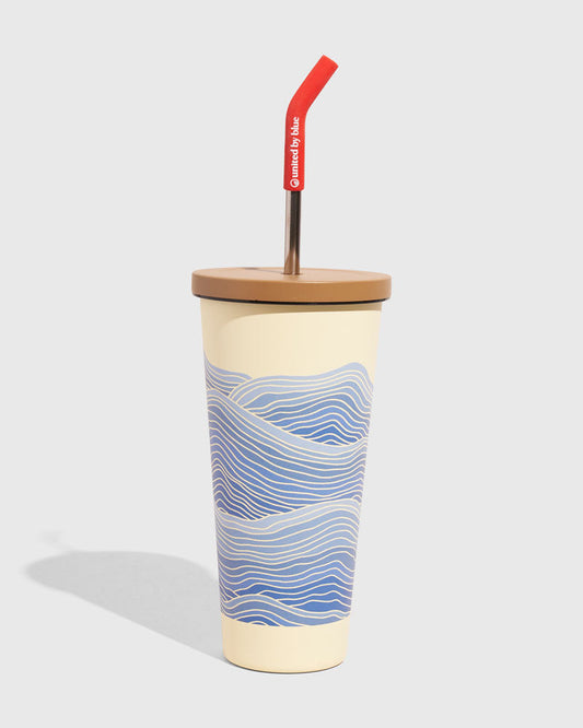 24 oz Insulated Steel Straw Tumbler (multiple designs)