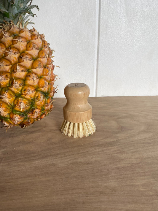 Pot Scrubber